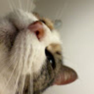 Meet your Posher, Ana